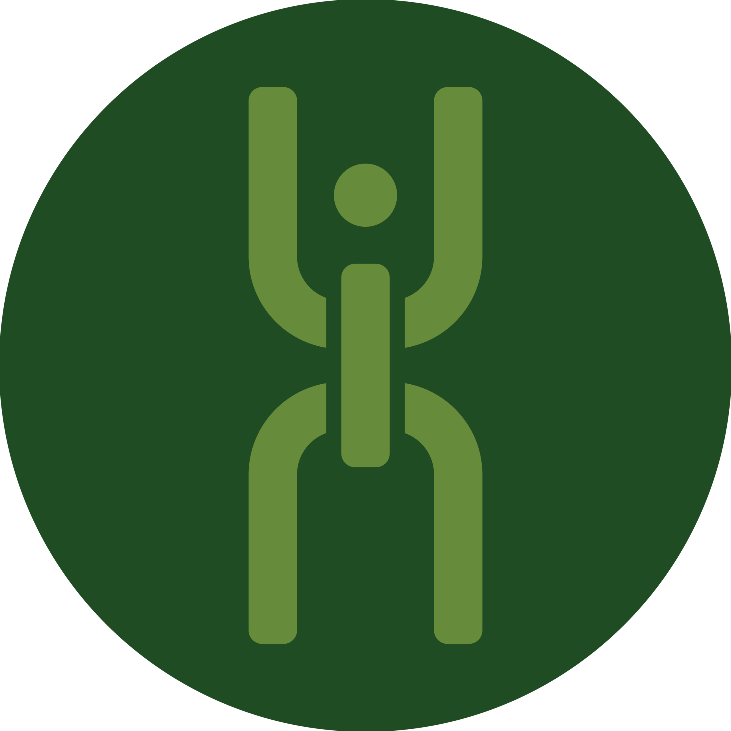 The Link