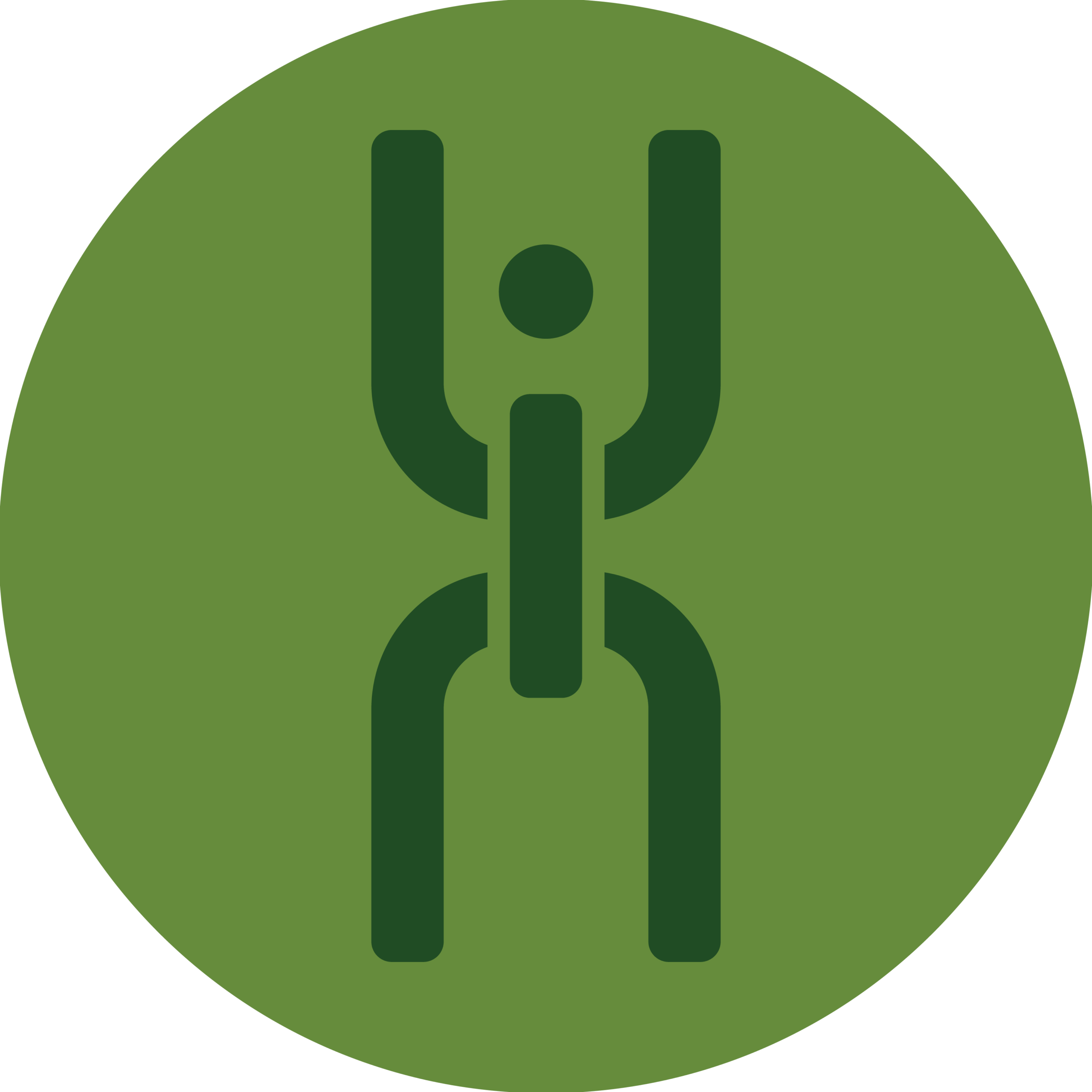 The Link